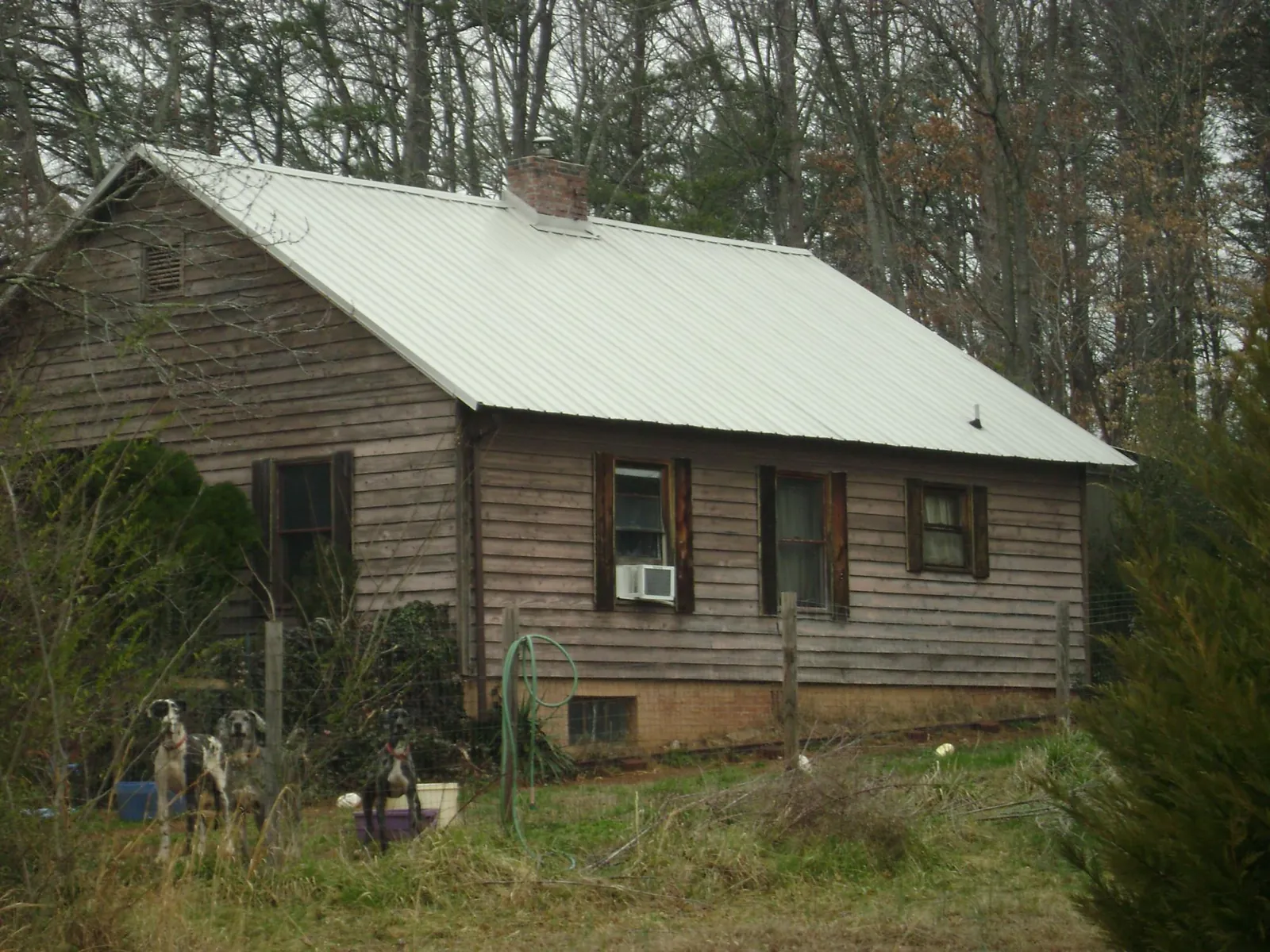 White metal roof on an old wood sided farmhouse, from a Asphalt Shingle Roof Repair job in Swisshome